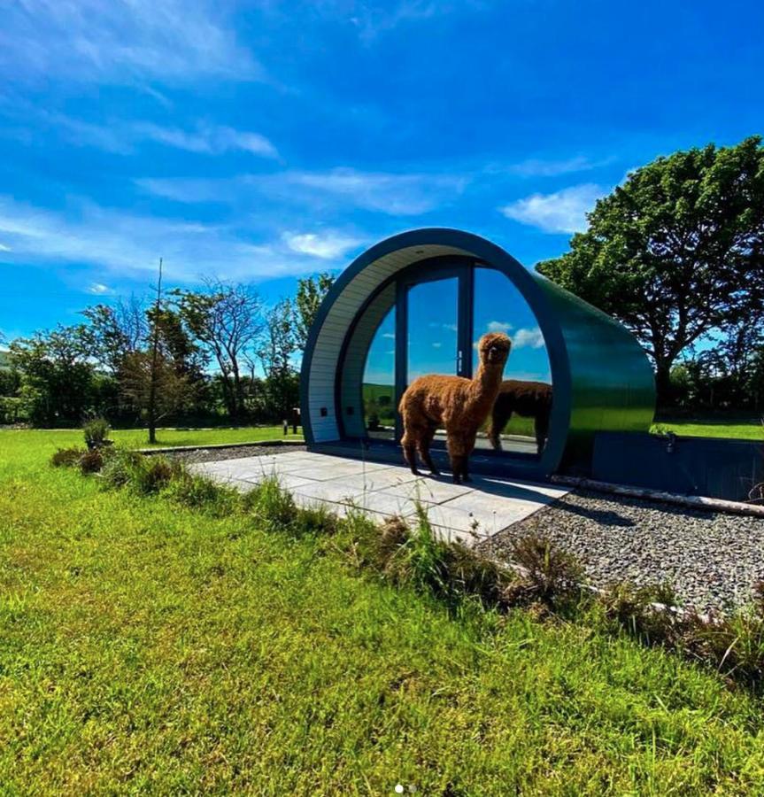 Black Knowe, Luxury Glamping Pods, Ballycastle Hotell Eksteriør bilde